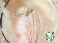 ��������� ����� �����������