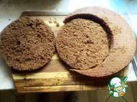 ���� "����-�����" �����������