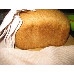 ����������� ����