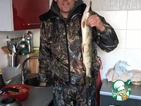 ����� �� ���� � ������ "����� �����" �����������