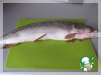 ����� �� ���� � ������ "����� �����" �����������