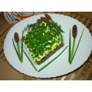 ������ � ������� ����������