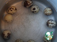 ������ �����-������ �����������