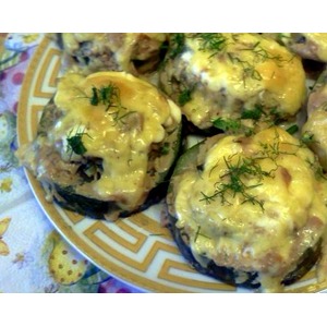 ������������� �������