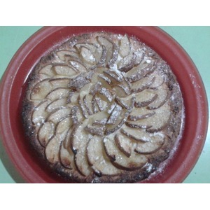 ��������� ����� � ������ "�����"