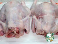 ������� � �������-������ �������� �����������