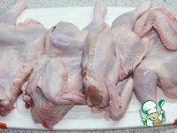 ������� � �������-������ �������� �����������