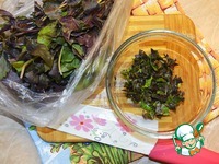 ���� � �������� � ��������-�������� ����� �����������