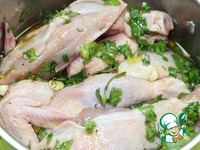 ������� � �������-������ �������� �����������