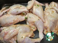 ������� � �������-������ �������� �����������