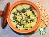 ���� � �������� � ��������-�������� ����� �����������