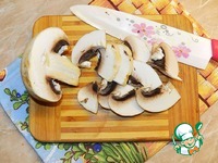 ���� � �������� � ��������-�������� ����� �����������