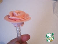 �������� "���������" �����������