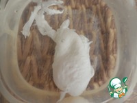 ����� �� ������ � ������� � ����� ����� �����������