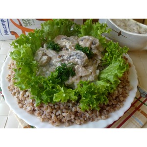 ������ � �������� �� �����������