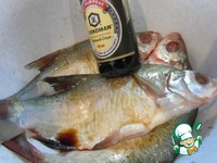 ���� � ������ �����������