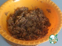 ���������-��������� ������� �����������