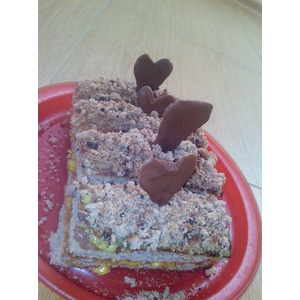 ���������-������������ ��������