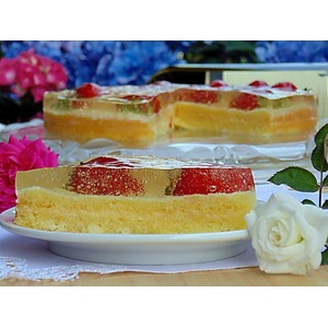 ���� � �������� ������ "�������� � ����������"