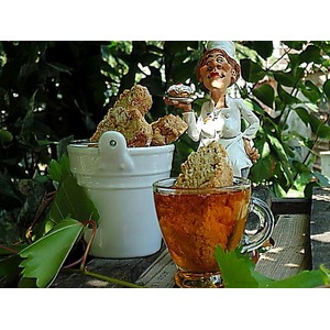 �������� � ��������