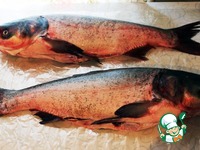 ������� ����������� �����������