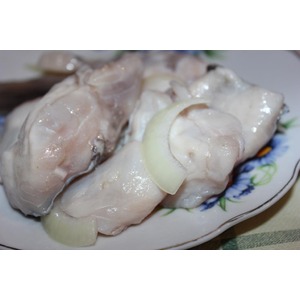 ������������ ����������� ��-���������