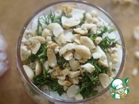 ����� � ����� � �������� �����������