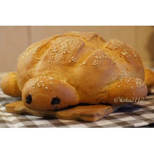 ���� "���������"