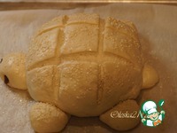 ���� "���������" �����������