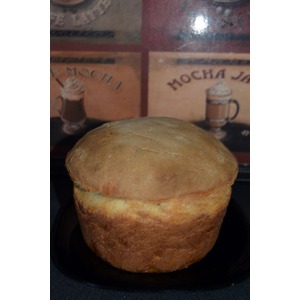 ���� �������������