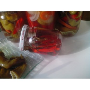 ����� ������ �����������