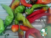 ����� ������ ����������� �����������