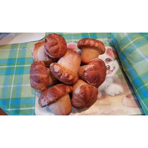 ������� �������� "��������"