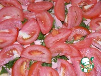 ����� "��������" �����������