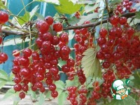 ������������������ ���� �����������