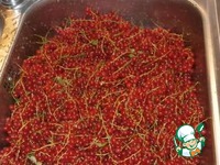 ������������������ ���� �����������