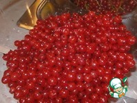 ������������������ ���� �����������