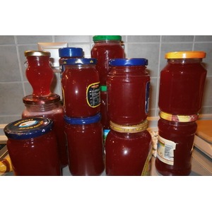 ������������������ ����