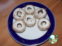 �����, ���������� � ������� �����������