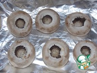 �����, ���������� � ������� �����������