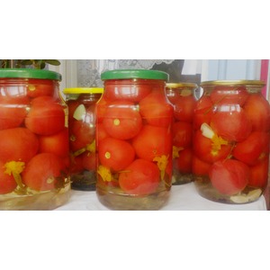 �������� � ����������