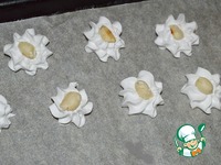 ����-������� � �������� �����������