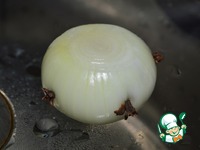 ������ �����������