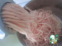 ������ �����������