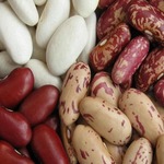 ��� �������� ����� ������ �� ��������� �