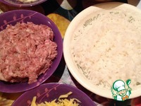 ������� ��������� � ������ � ������ �����������