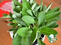 ������� "��������� ������" �����������