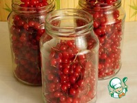 ���� �� ������ �����������