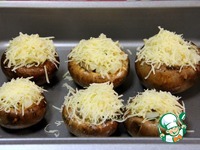 �����, ������������� �������� ���������� �����������