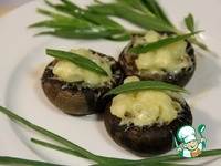 �����, ������������� �������� ���������� �����������